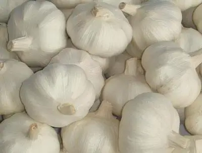 
Aged Garlic Extract Allicin / Black Garlic Powder 1%-6% by HPLC 