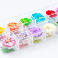 

High quality natural nail decoration set nail dry flower with 12 jars