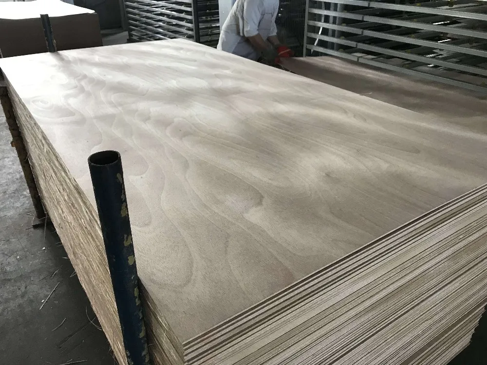 Cdx Plywood Sheet Commercial Chile Pine Plywood Buy Cdx Plywood