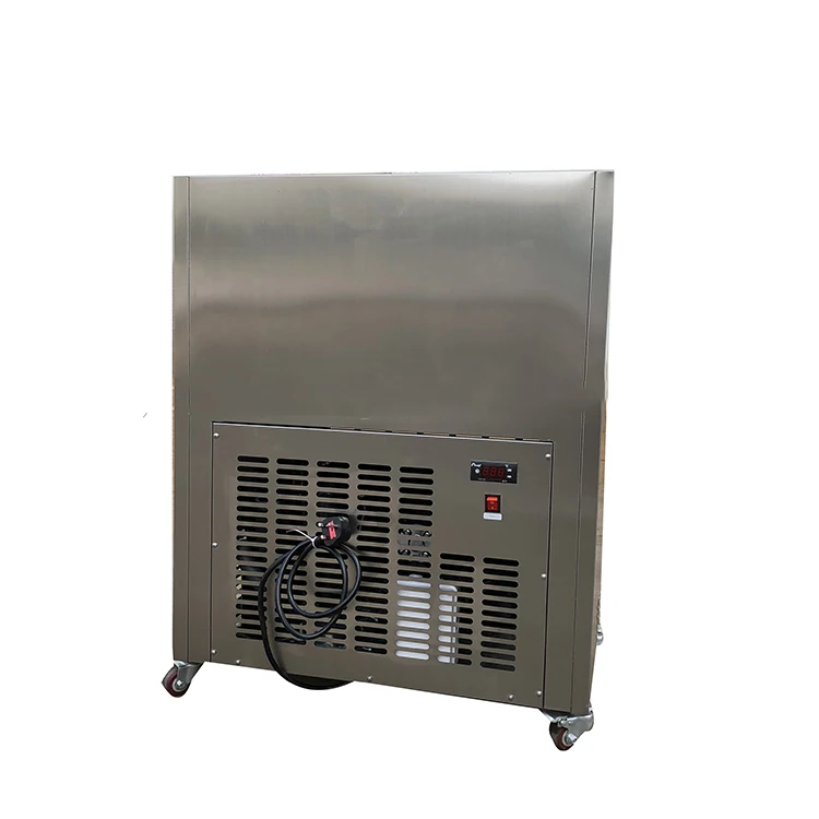 2 molds ice lolly popsicle making machine stainless steel gelato ice cream popsicle machine