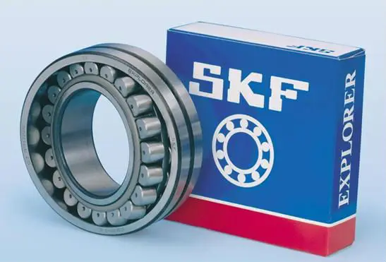SKF.JPG