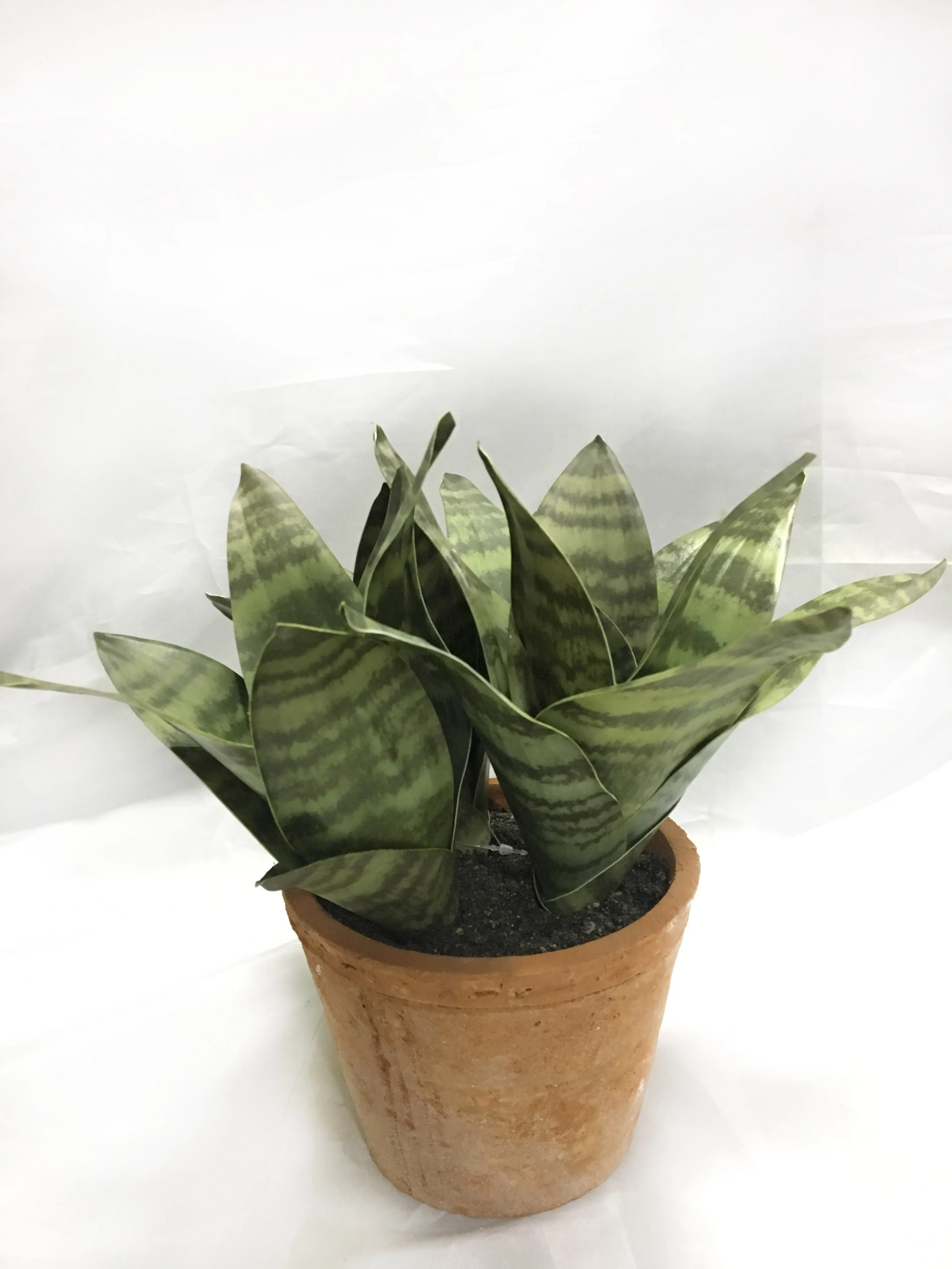 Delray Plants Artificial Snake Plant Sansevieria With Red Brick Pots