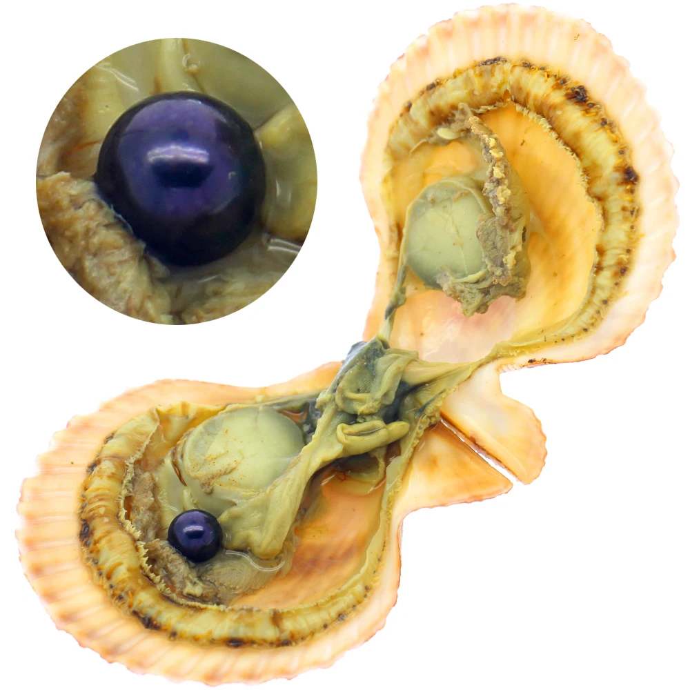 Party surprise gift vacuum pac