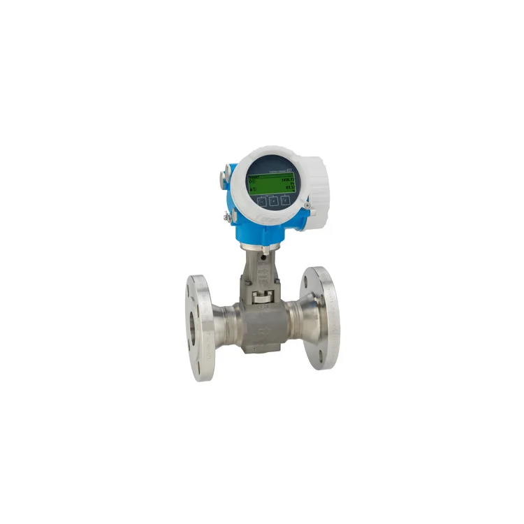 Расходомер e h. Promag p 200 e&h. Расходомер электромагнитный promag w400. Endress hauser promag p 200. Расходомер e h.