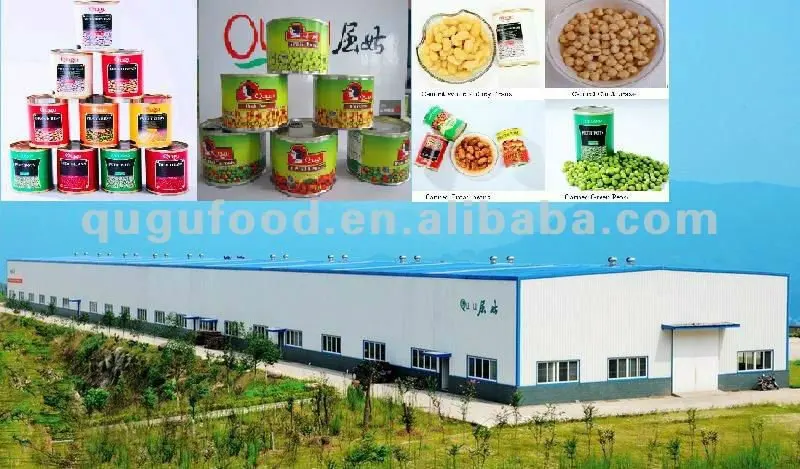 company and products