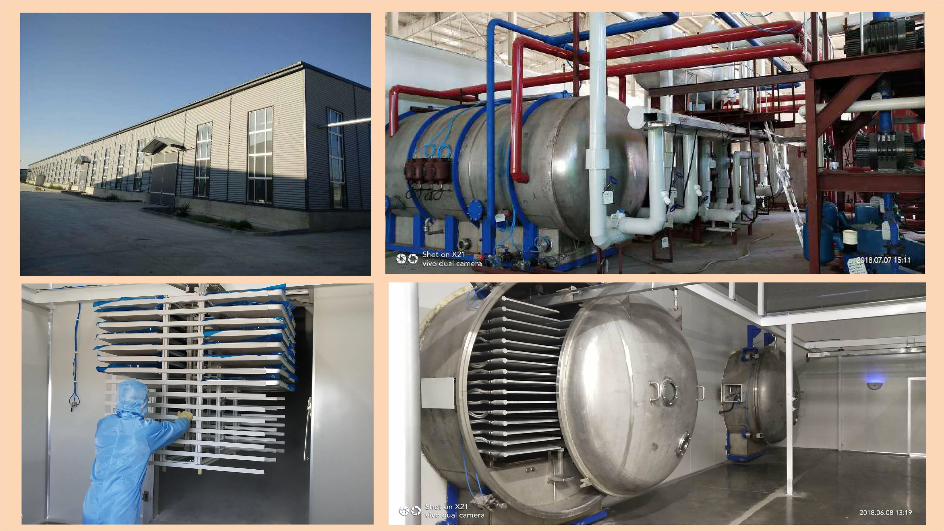 Pure hippophae rhamnoides freeze dried fruit sea buckthorn juice powder