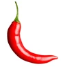 round red chilli