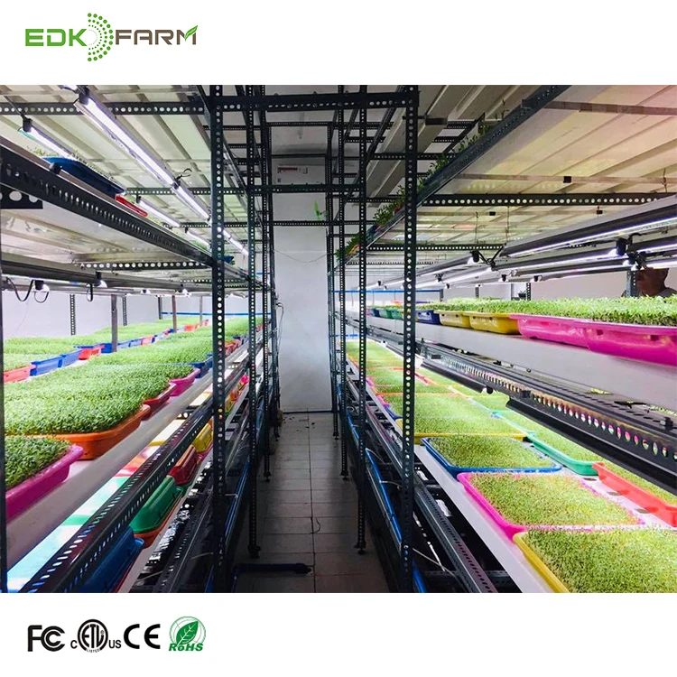 Full Spectrum ETL EDK LED Grow Lights 48 80 300 600 watts LED grow light for Plant Factory City Farming