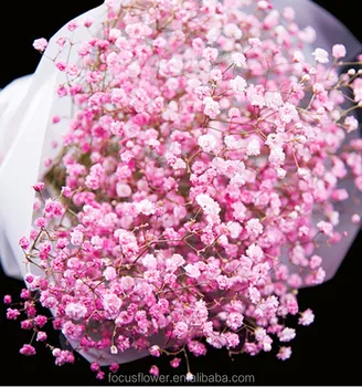 baby fresh flower