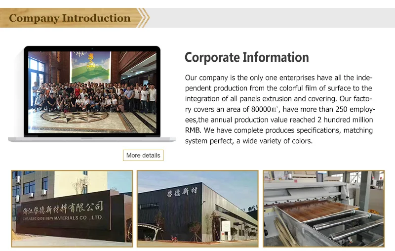 Outdoor Building Material Waterproof Fireproof Anti-UV Colored Exterior WPC Wall Panel