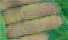 drying net (9).jpg