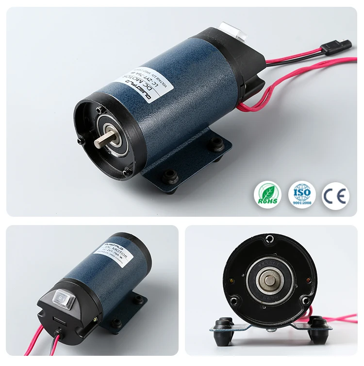DC motor pumps motor.jpg