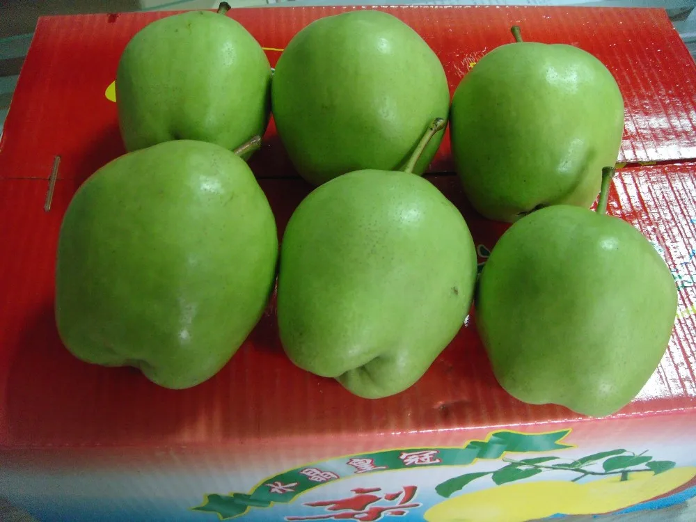 所有行业  农业 水果 新鲜水果  新鲜梨子