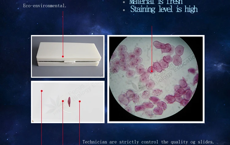 1parasitology slides.jpg