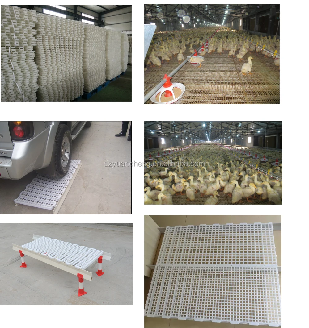 High Quality Chicken Plastic Slat Floor Plastic Chicken Flooring With