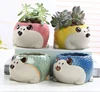 Promotion cute ceramic flower pots developments bulk plant pots