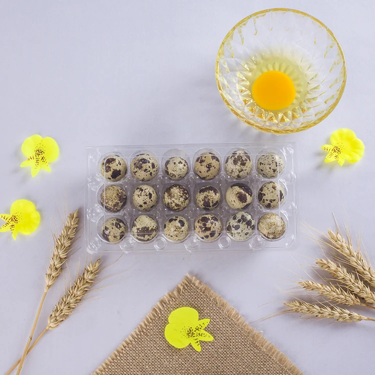 
plastic PVC quail egg tray for supermarket 