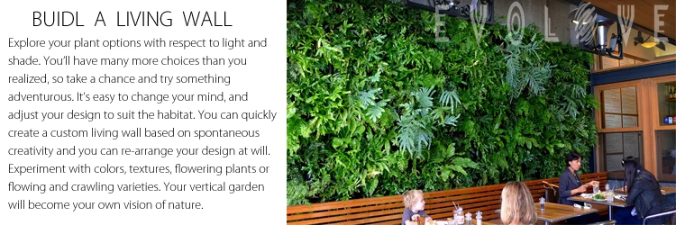 self watering vertical garden