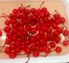 canned colored cherry variety