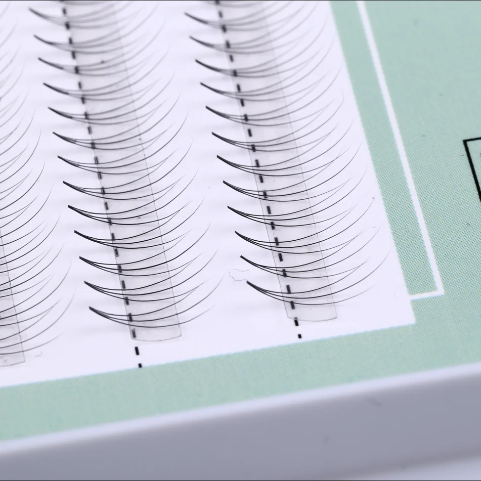 
Lashbeauty Professional Makeup Tools Private Label Premade 3D Volume Fans Eyelash Extension 