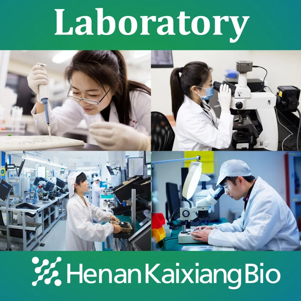 
Anti-Acne/Tretinoin/Isotretinoin/Retinoic Acid/Vitamin A Acid powder 