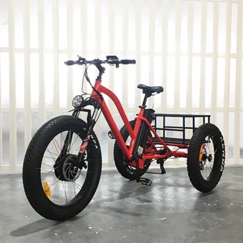 electric open 48v tricycles price