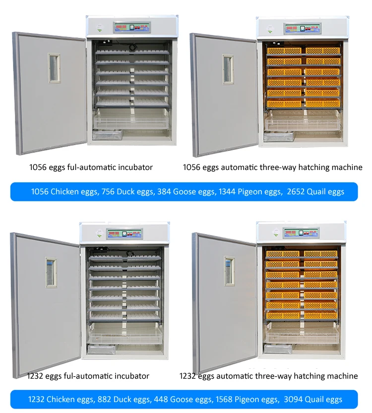 Automatic Poultry Hatchery Chicken Egg Incubator - Buy Egg ...