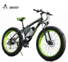 China 2018 hot sell 26inch Fat tire ebike