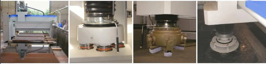  single head polisher.jpg