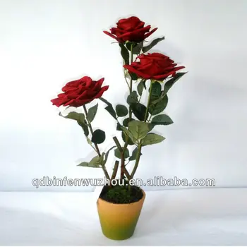 Menakjubkan 20 Bunga  Mawar  Di Dalam  Pot  Gambar Bunga  Indah