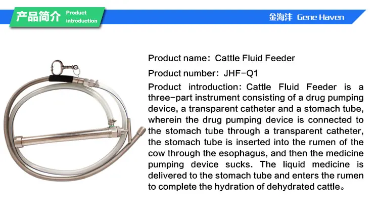 Jhf Q1 Cattle Liquid Feeder After Cow Postpartum View Cow
