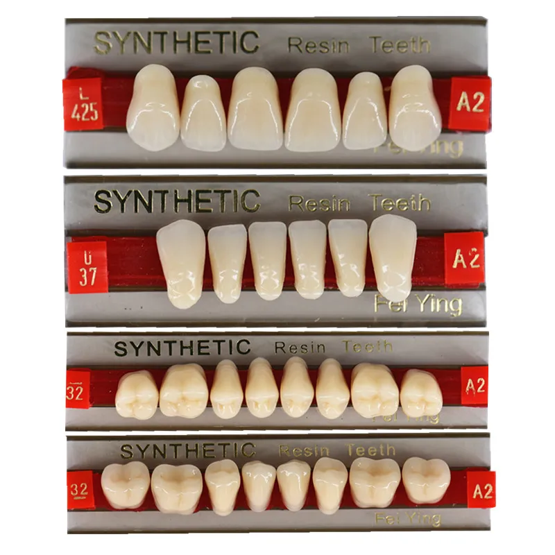 Multilayer Dental Artificial Resin Teeth With Teeth Ce And Iso