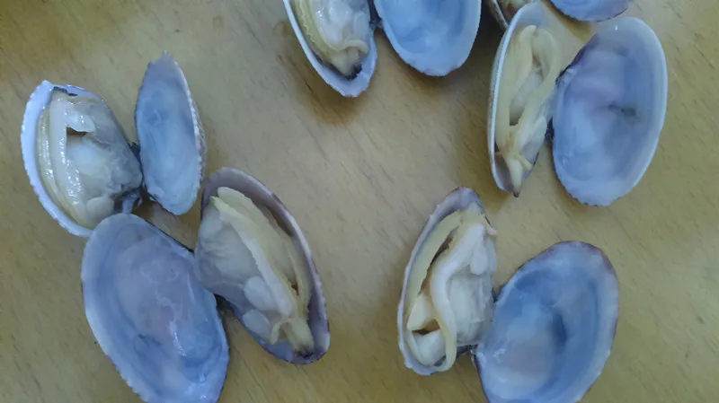 30 pcs/lb, 31-40 件/磅,41-50 件/磅 最佳季节 冷冻 4月至 10月 玻璃