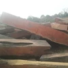 Mussivi/Mussibi squared logs from Angola with low price, Doussie / Tali / Mussivi Wood Logs