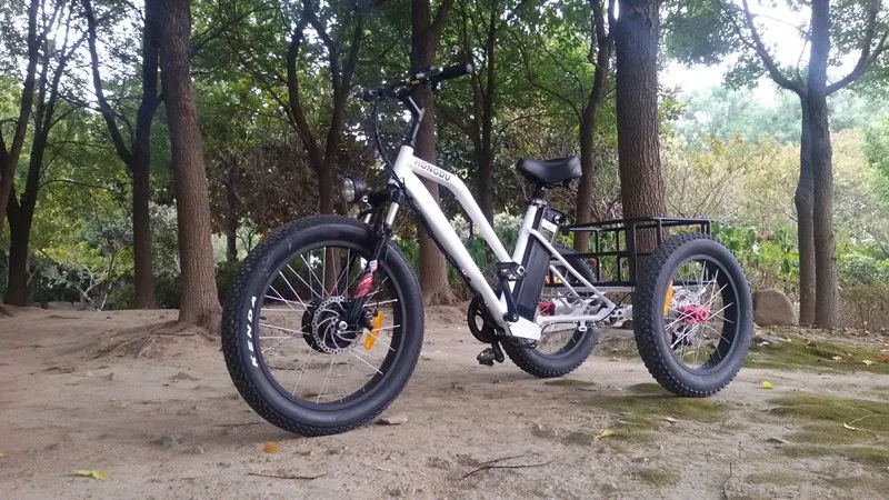 fast electric trike