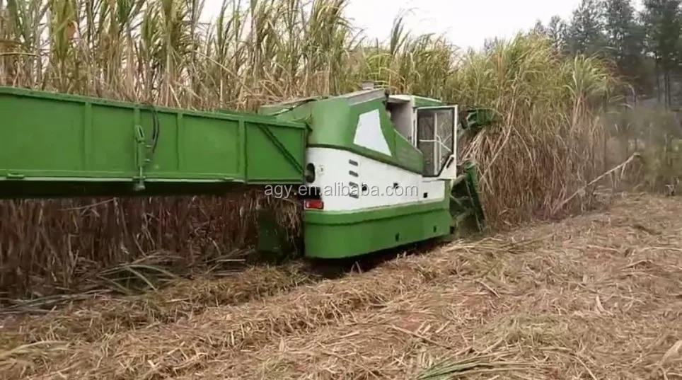 Agy 10km/h Whole Stalk Sugarcane Harvester Price Buy Sugarcane