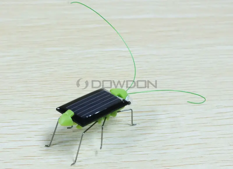 sloar grasshopper 8015 131216 (3).JPG