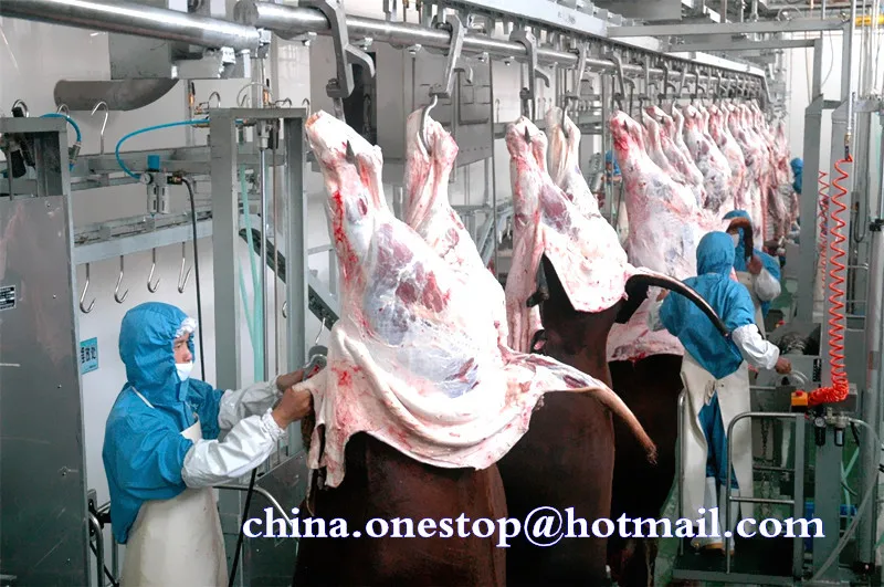 Meat processing equipment machines Abattoir slaughterhouse cattle and pig slaughtering line