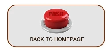15.webp.jpg