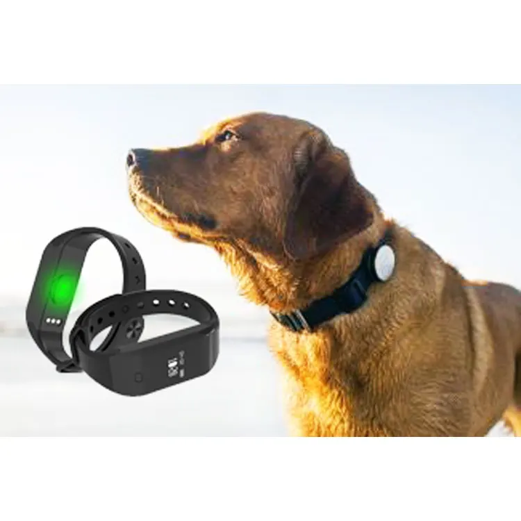 newest custom design waterproof IP67 bluetooth pet dog pedometer for pet activity tracking