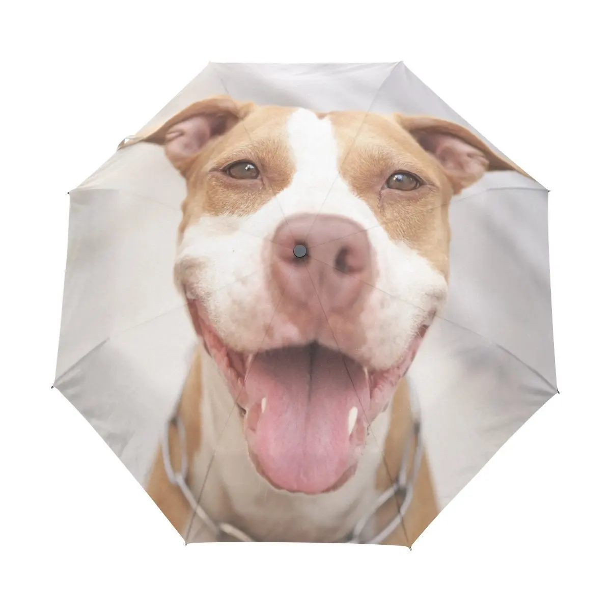 MAPOLO Cute Pug Dog Puppy Snout Eyes Print Windproof Rain Travel Canopy 3 Folds Auto Open Close Button Umbrella