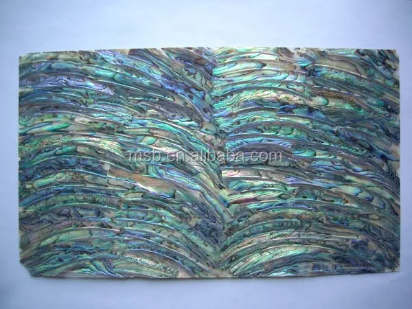 abalone shell paper A.jpg