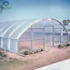 Factory Price Single Span Hydroponic Polycarbonate Grow House
