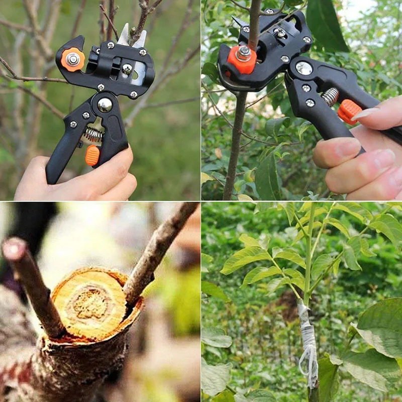grafting machine (22).jpg
