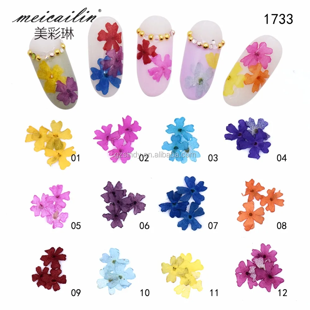 

12 Colors Fashional Dried Real Flowers Nail Art Decoration nail art 2018