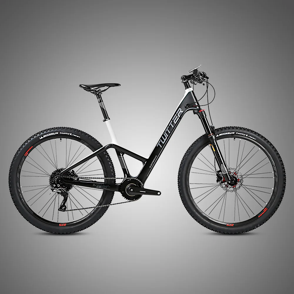 

china suppliers 36V 250W motor ucuz elektrikli bisiklet