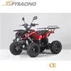110cc Mini Quad Bike with CE