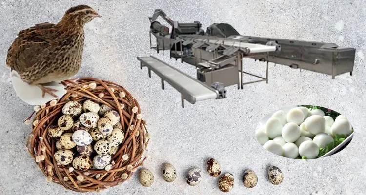 manual quail egg peeler
