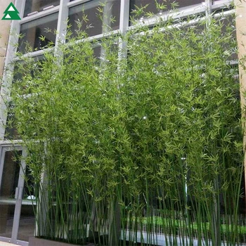 安い人工植物屋外装飾竹人工竹 Buy 人工竹 安い人工植物 Banboo 人工竹 人工植物結婚式の装飾竹人工竹 Product On Alibaba Com