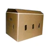 vegetable packaging box /wax carton box for bell pepper carton boxes